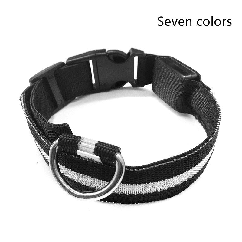 Black adjustable LED dog collar with buckle and metal ring