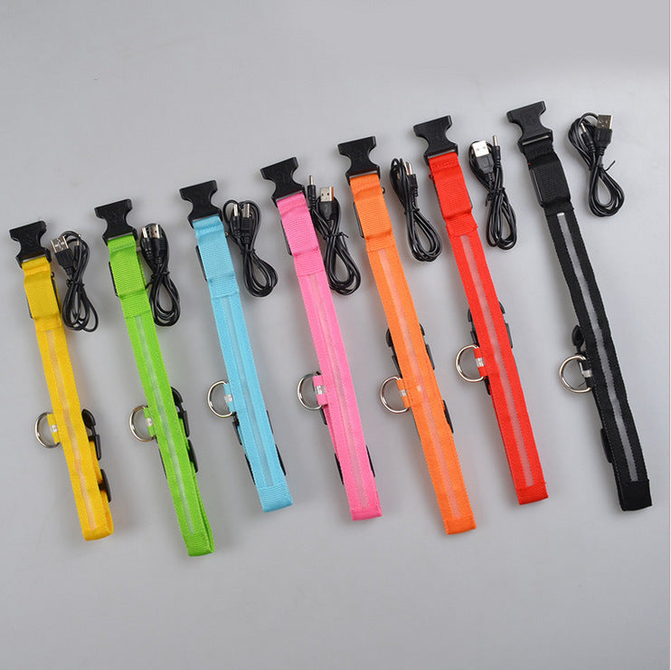 Dog collars arranged in several colors