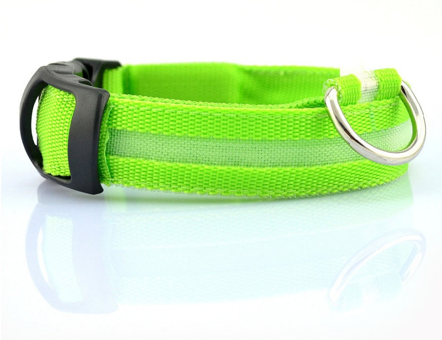 Green nylon LED dog collar with buckle and metal ring