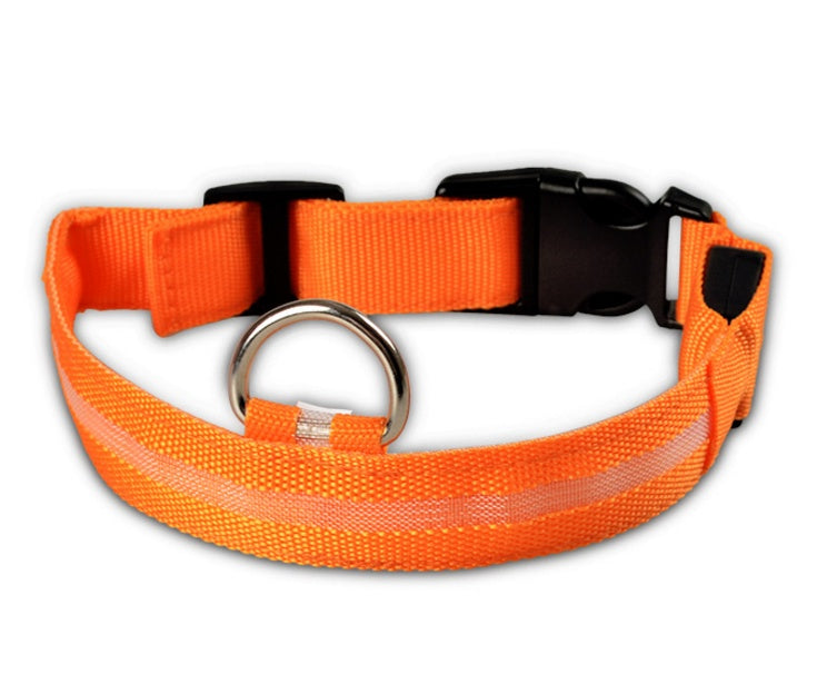 Orange nylon LED dog collar with buckle