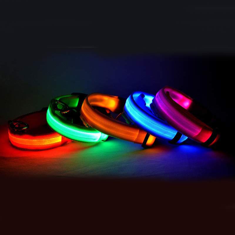 Dog collars glowing in multiple LED colors
