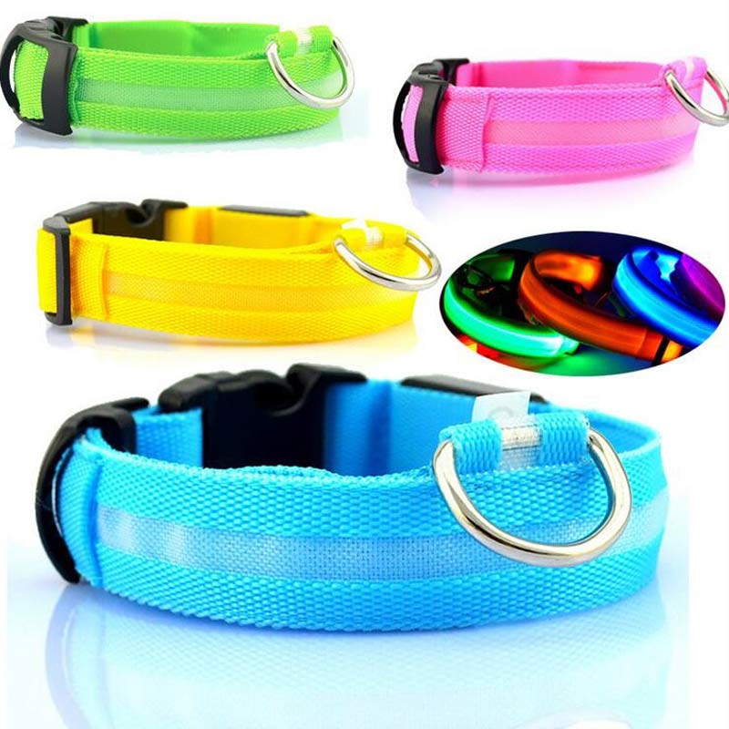 LED dog collars in green, pink, yellow and blue