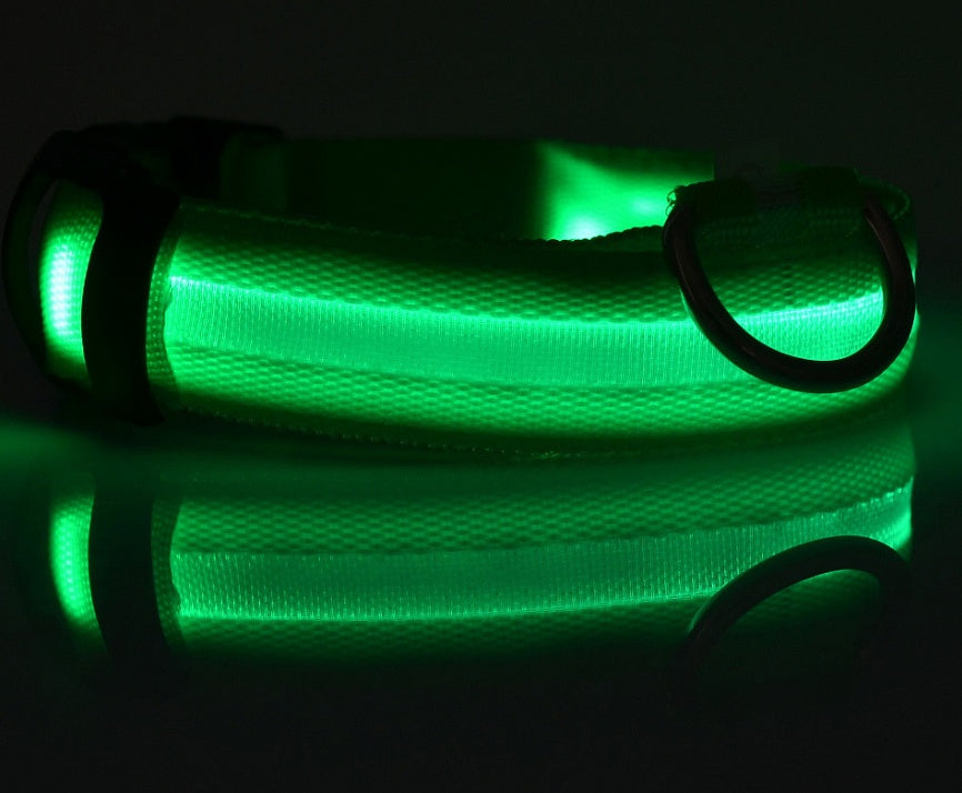 Green LED dog collar illuminated in the dark