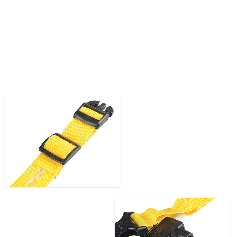 Yellow dog collar strap and buckle details