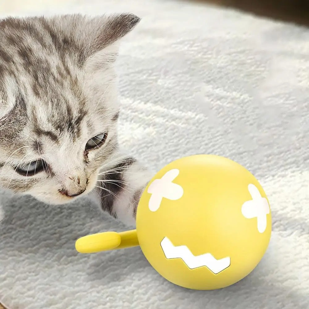 Pawly ChaseBall™ Smart Interactive Cat Toy – product image 8
