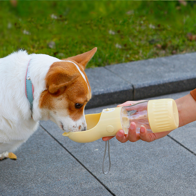 Dog drinking from a portable water bottle bowl outdoors