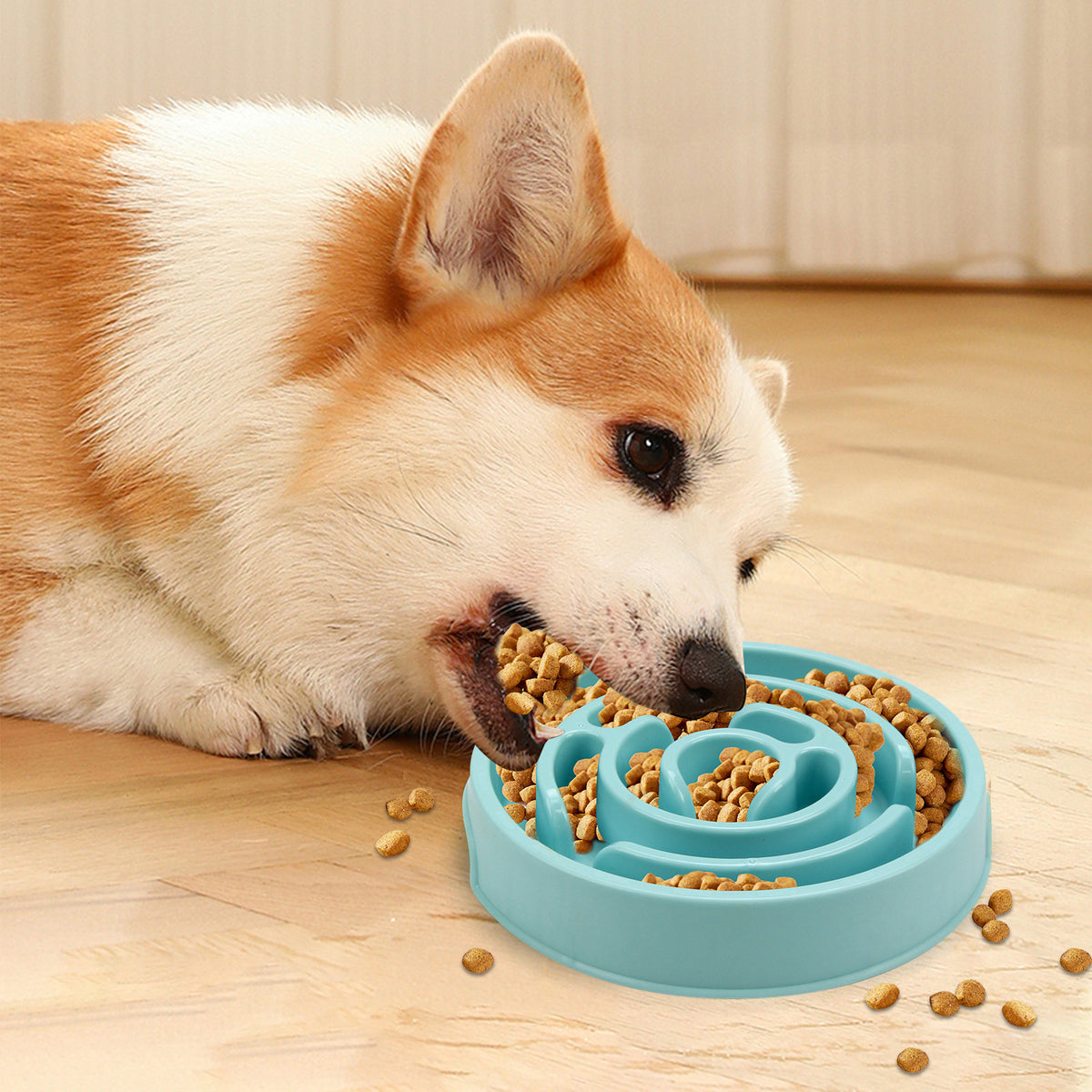 Dog eating from a blue spiral slow feeder bowl