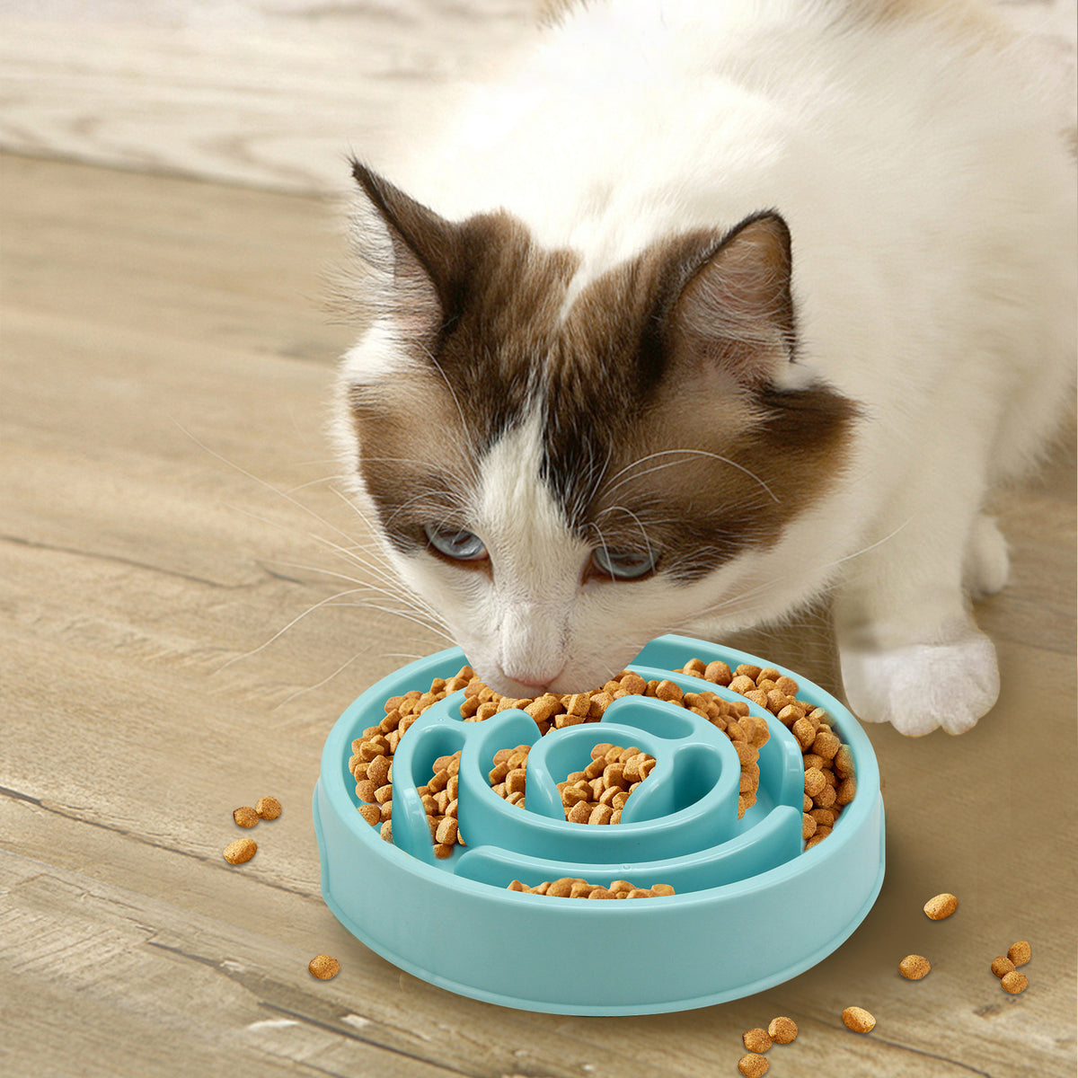Cat eating from a blue spiral slow feeder bowl